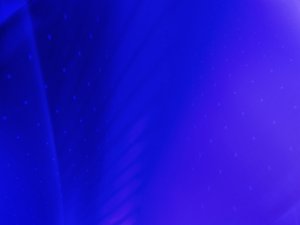 西烏珠穆沁旗鴨苗有限責(zé)任公司