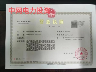 海南投資公司注冊中網(wǎng)電力投資集團(tuán)海南轉(zhuǎn)讓